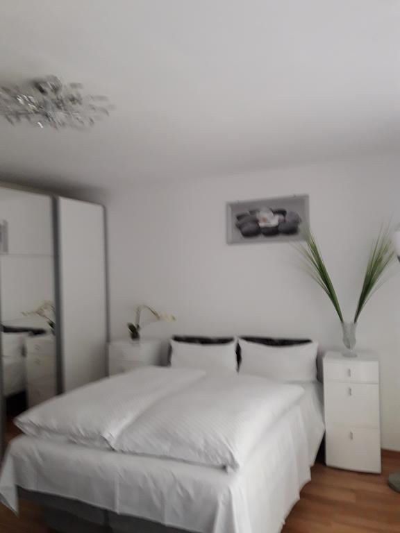Apartment Near Villa Turgenev Baden-Baden Zewnętrze zdjęcie