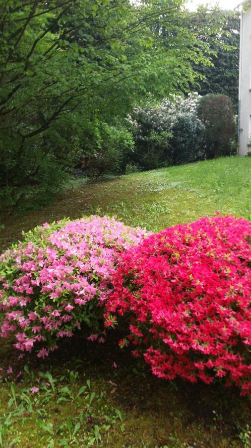 Apartment Near Villa Turgenev Baden-Baden Zewnętrze zdjęcie